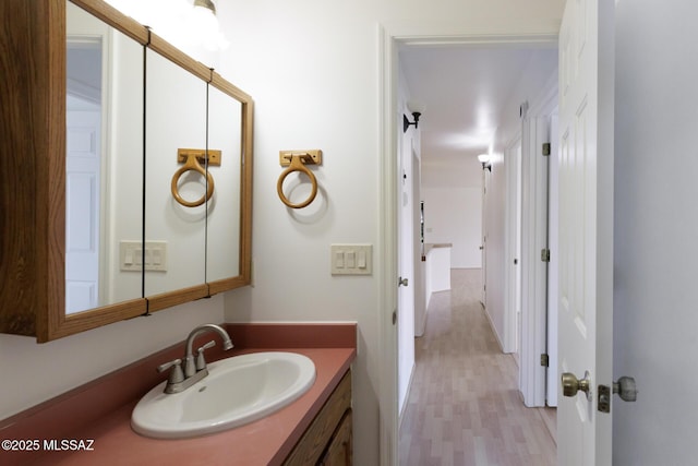 bathroom featuring wood finished floors and vanity
