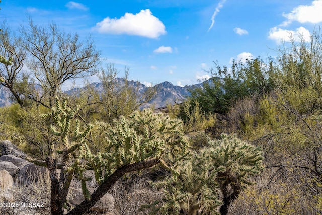 property view of mountains