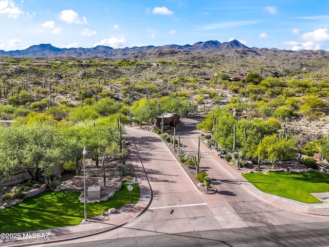 view of property's community featuring a mountain view and a yard