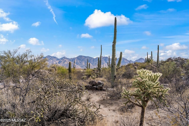 property view of mountains