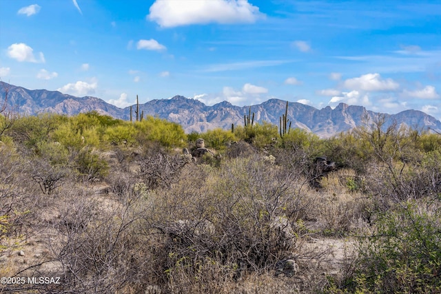 property view of mountains