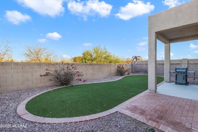 view of yard featuring a patio area