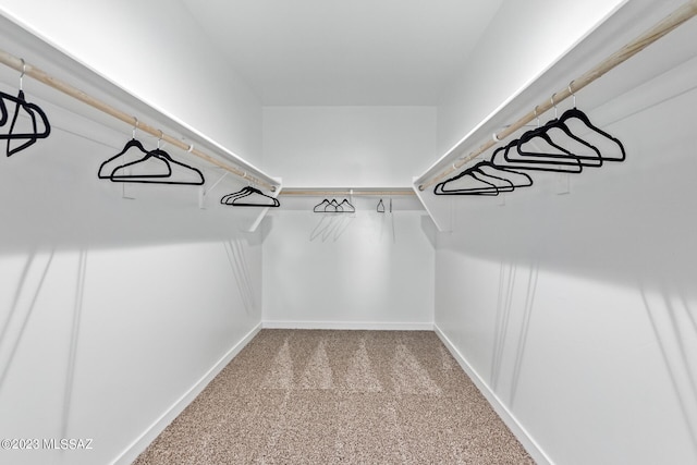 walk in closet featuring carpet floors