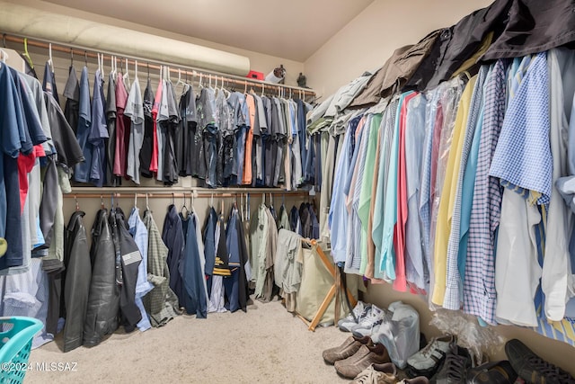 view of spacious closet