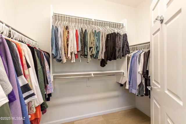 view of spacious closet