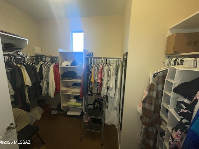 view of walk in closet