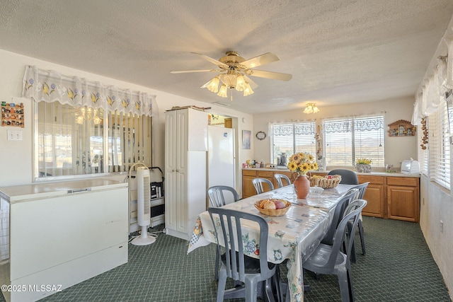 dining space featuring ceiling fan and a textured ceiling