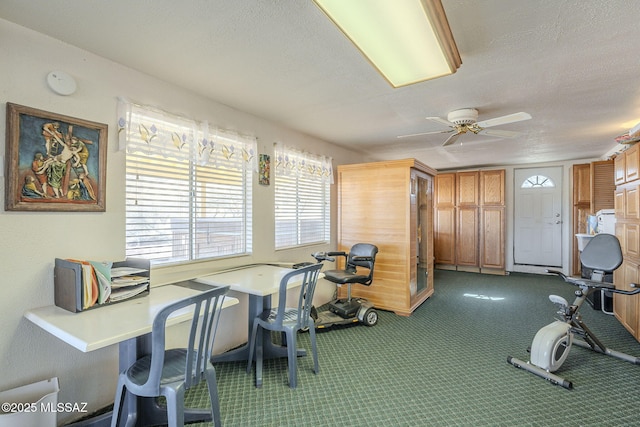 workout area featuring ceiling fan, a textured ceiling, and carpet flooring