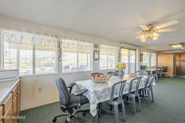 sunroom / solarium with ceiling fan