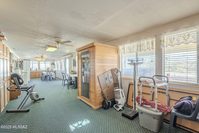 workout area with ceiling fan, carpet, and a textured ceiling