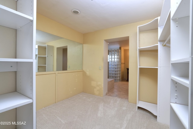 spacious closet featuring light carpet