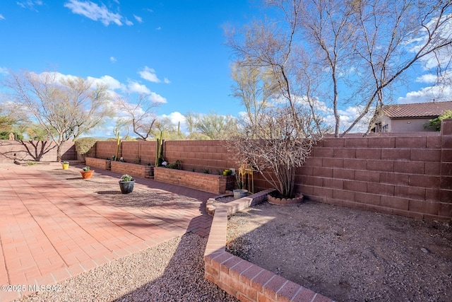 view of yard with a patio and a fenced backyard