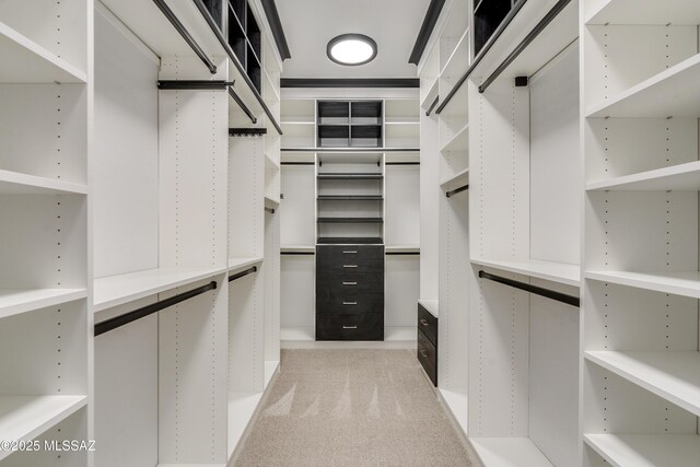 walk in closet featuring light carpet