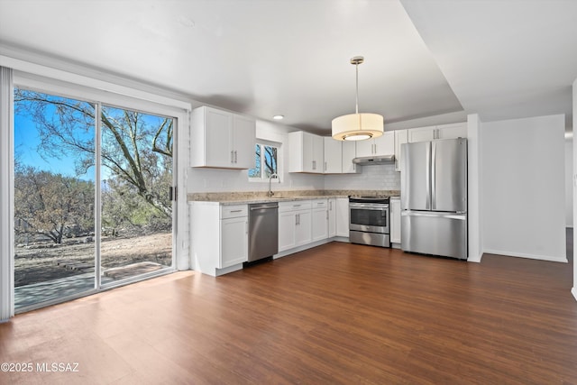 kitchen with tasteful backsplash, dark wood-style floors, appliances with stainless steel finishes, under cabinet range hood, and a sink