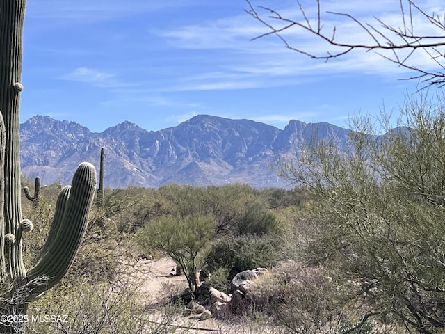 14521 N Rocky Highlands Dr Unit 215, Oro Valley AZ, 85755 land for sale