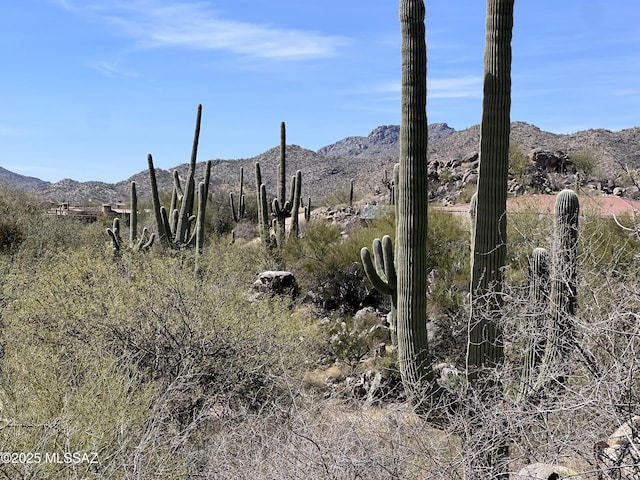 Listing photo 3 for 14521 N Rocky Highlands Dr Unit 215, Oro Valley AZ 85755