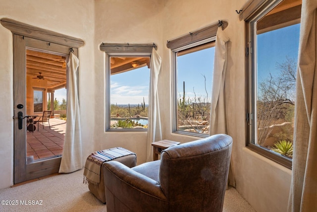 sitting room with carpet