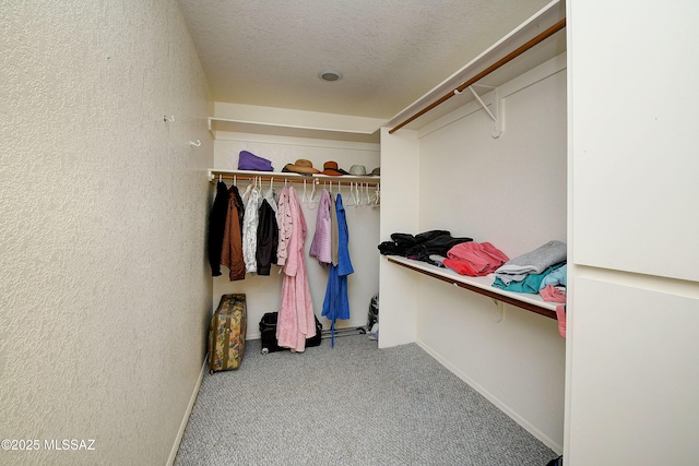 1660 N Fox Run Pl, Tucson, AZ 85715 - spacious closet with carpet floors