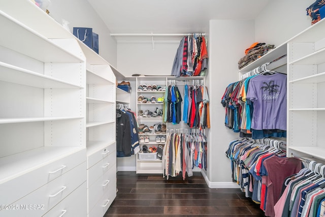 walk in closet with dark hardwood / wood-style flooring