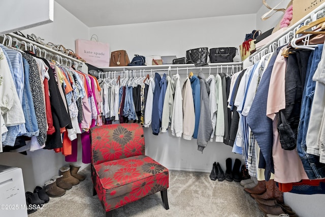 walk in closet with light colored carpet