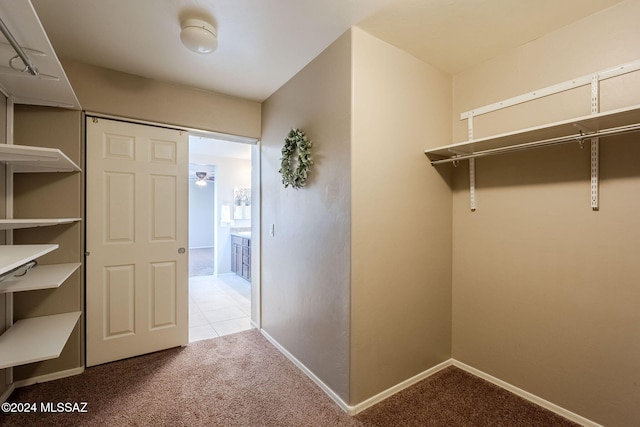 walk in closet featuring light colored carpet