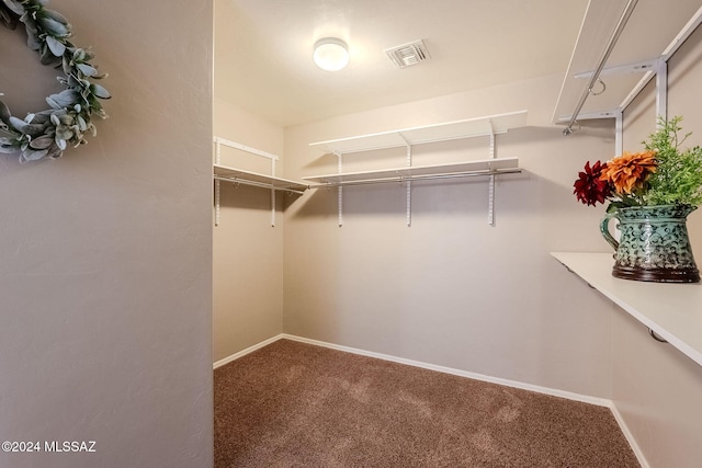 spacious closet with carpet flooring