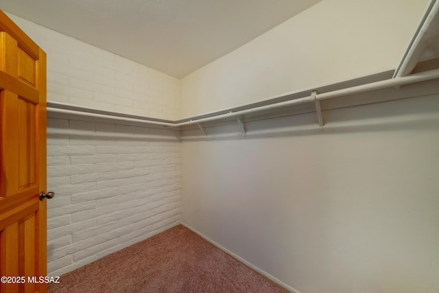 spacious closet featuring carpet