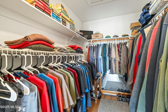 spacious closet with wood-type flooring