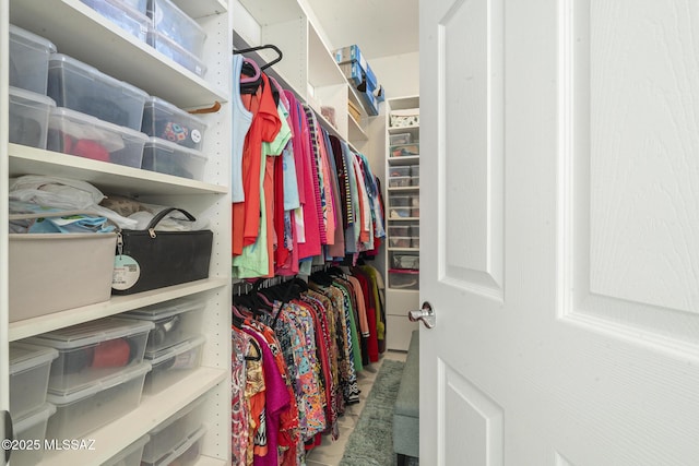 view of walk in closet