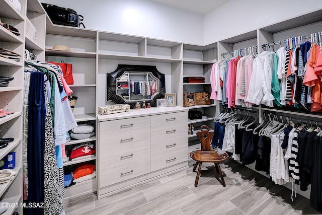 spacious closet with light wood-style flooring