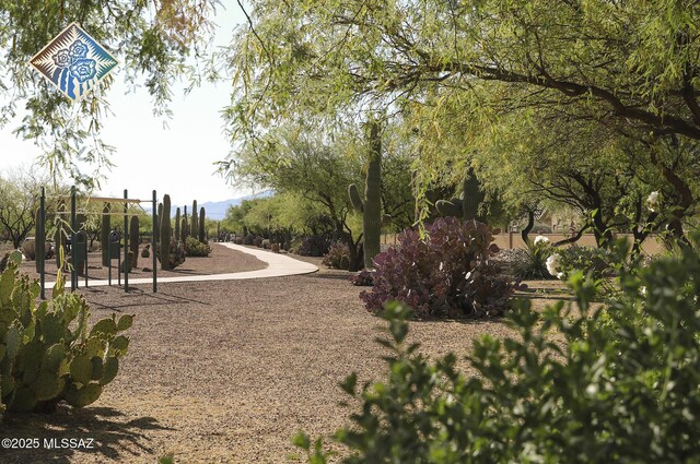 view of community with playground community