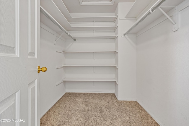 spacious closet with light carpet