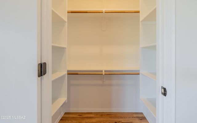 spacious closet featuring wood finished floors