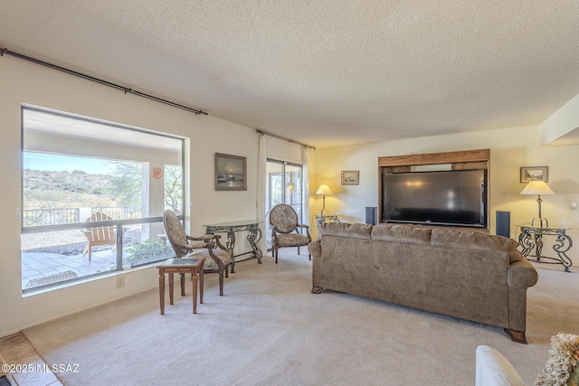 living area featuring a textured ceiling and light colored carpet