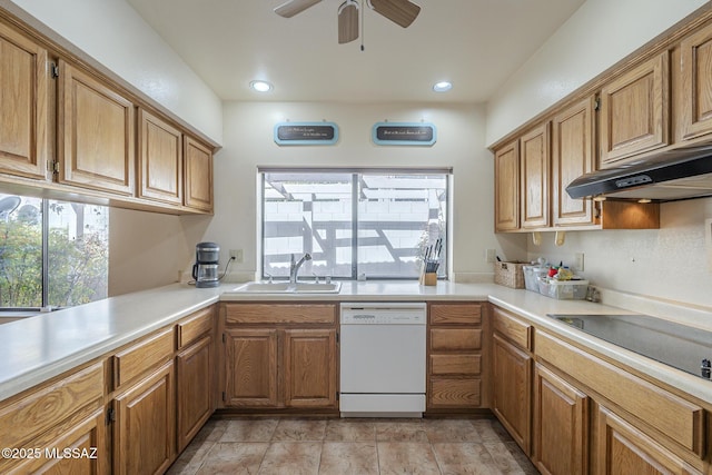 kitchen featuring plenty of natural light, dishwasher, a sink, and black electric cooktop