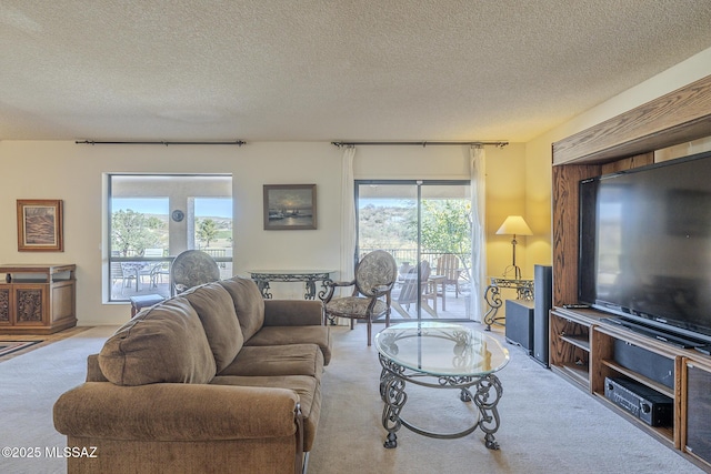 carpeted living room featuring a textured ceiling