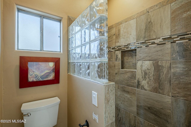 bathroom with toilet and a walk in shower
