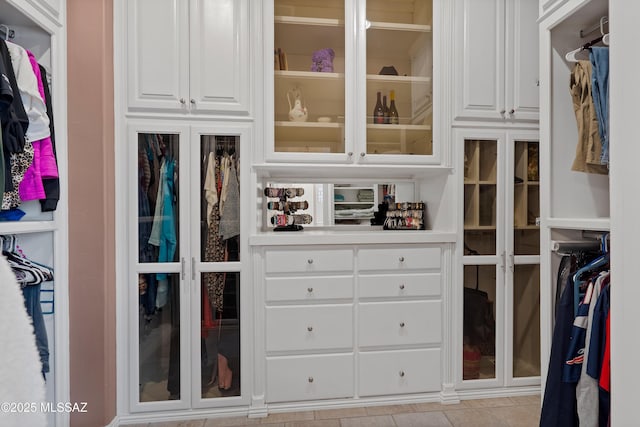 view of spacious closet