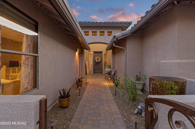 entrance to property with a patio area and stucco siding