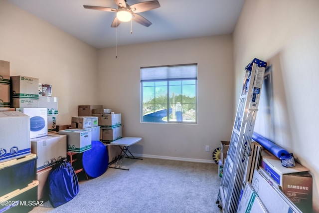 storage room featuring ceiling fan