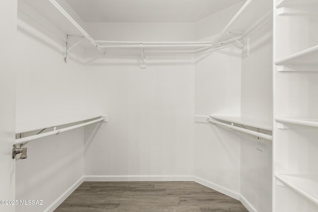 walk in closet featuring wood finished floors