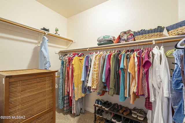 spacious closet with carpet flooring