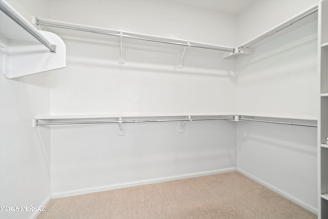 walk in closet with light carpet