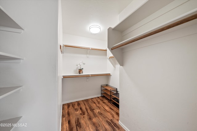 spacious closet featuring wood finished floors
