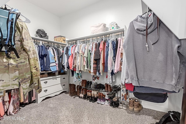 walk in closet with carpet