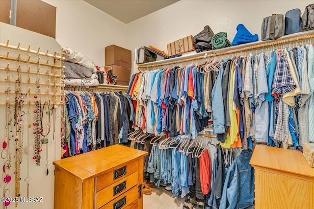 spacious closet with light colored carpet