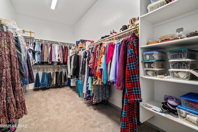 walk in closet with carpet