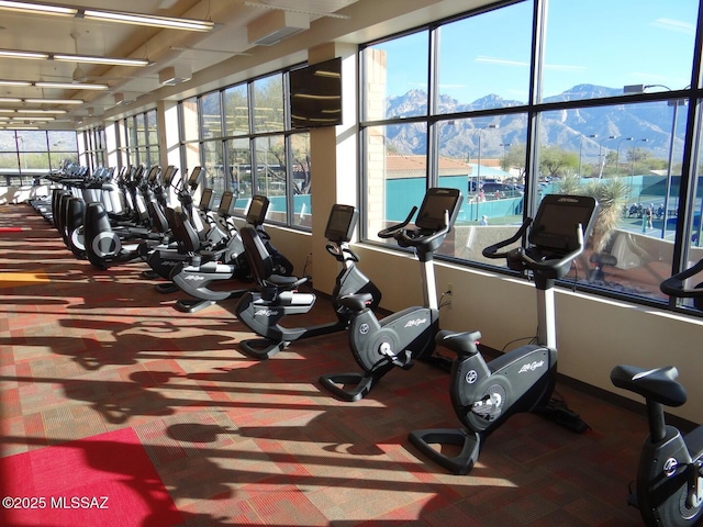 exercise room featuring carpet floors