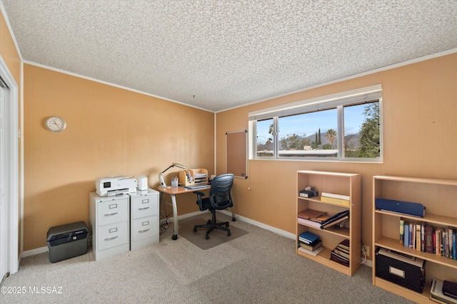 carpeted home office with ornamental molding and a textured ceiling