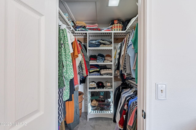 walk in closet with carpet